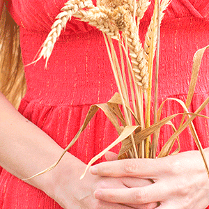 La sensibilité au gluten non cœliaque, nouveau syndrome clinique?