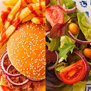 Manger trop gras mangerait le cerveau!