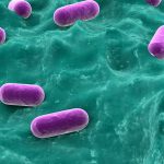 Les probiotiques diminuent le risque de diarrhées post-antibiotiques