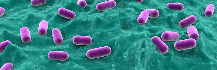 Les probiotiques diminuent le risque de diarrhées post-antibiotiques