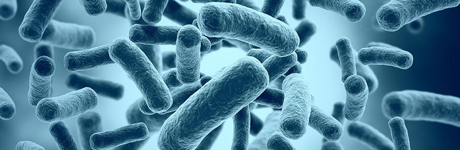 Transplantatie fecale microbiota beïnvloedt werking hersenen
