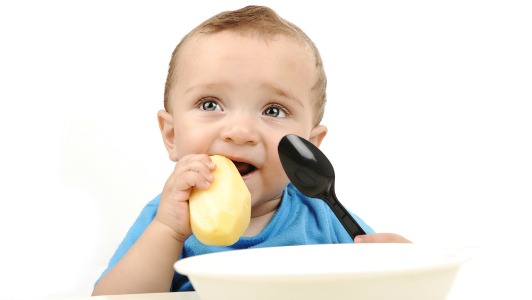 L&rsquo;alimentation des nourrissons affecte leur préférence future pour le sel