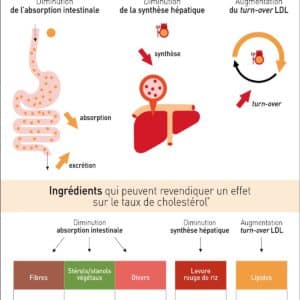 Nutrigraphics: Cholestérol et allégations de santé