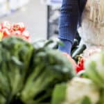 Du concept de géométrie nutritionnelle…