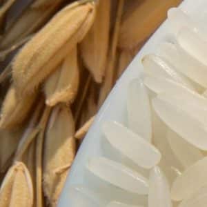 Le pain du futur sera-t-il à base de riz ?