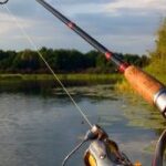 Les PCB dans les poissons d&rsquo;eau douce requièrent de la prudence