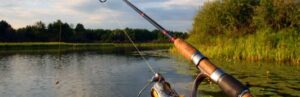 Les PCB dans les poissons d&rsquo;eau douce requièrent de la prudence