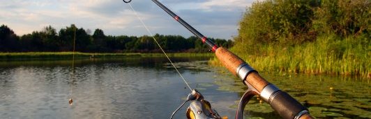 Les PCB dans les poissons d&rsquo;eau douce requièrent de la prudence