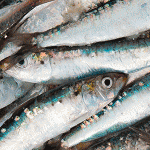 DHA: des effets anti-inflammatoires dans la parodontite?