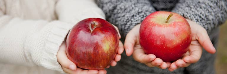 Polyphénols de pomme contre le cancer?