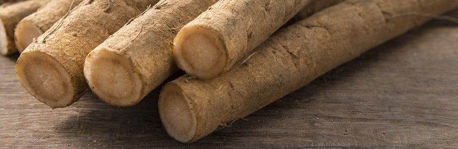 Des protéases pour expliquer l’effet prébiotique d’un légume fermenté