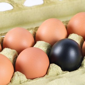 QSAFFE: la sécurité alimentaire animale sous la loupe