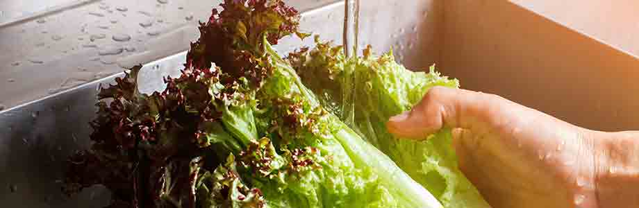 De la Salmonella sur la salade toute prête