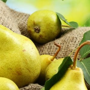Antioxidanten in peer mogelijk sterk probioticum