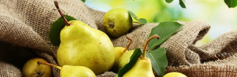 Antioxidanten in peer mogelijk sterk probioticum