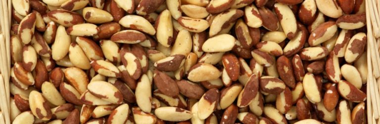 Faut-il enrichir les aliments en sélénium?