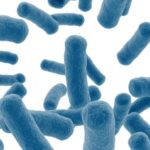 Cancer colorectal: une question de microbiome intestinal?
