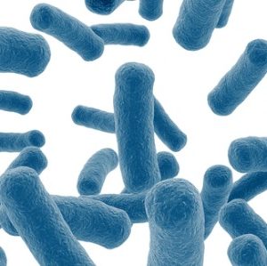 Hangt dikkedarmkanker samen met het microbioom in de darmen?