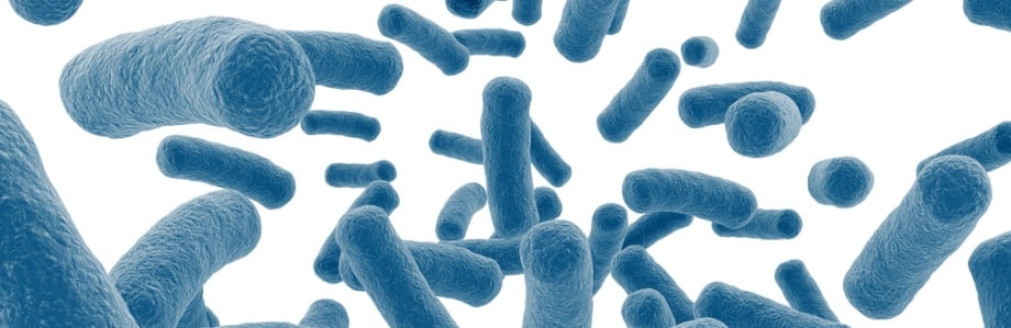 Cancer colorectal: une question de microbiome intestinal?