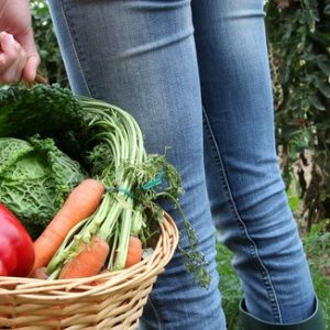 Moins de pré-éclampsies avec les légumes bio?