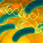 Les probiotiques voient leur utilité reconnue dans certains domaines