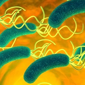 Les probiotiques voient leur utilité reconnue dans certains domaines