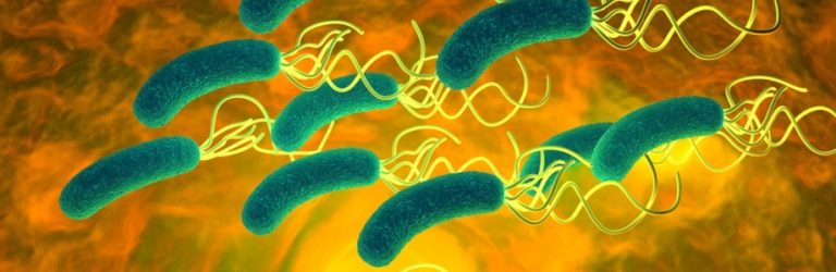 Les probiotiques voient leur utilité reconnue dans certains domaines