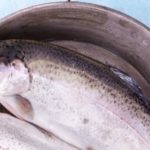 Les oméga-3 du poisson réduisent le risque d’arthrite rhumatoïde