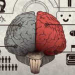 Les glucides ont contribué au développement du cerveau humain