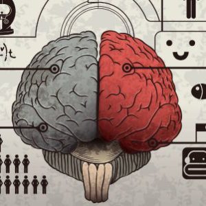 Les glucides ont contribué au développement du cerveau humain