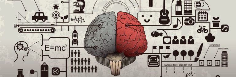 Les glucides ont contribué au développement du cerveau humain