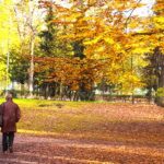 Bouger régulièrement protège le cœur et le cerveau