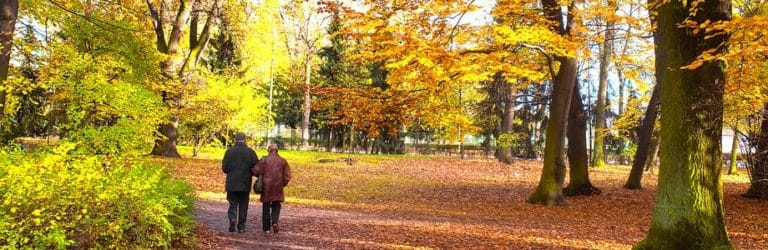 Bouger régulièrement protège le cœur et le cerveau