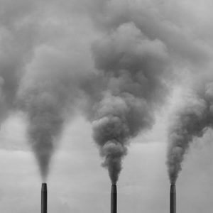 Polluants chimiques et risque d&rsquo;obésité et de diabète: la relation se précise