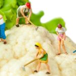 L&rsquo;alimentation combinée aux gènes peut prolonger la durée de vie