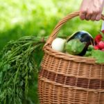 Les fruits et légumes associés à moins de fractures ostéoporotiques