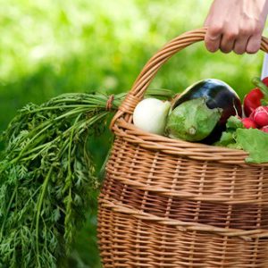 Les fruits et légumes associés à moins de fractures ostéoporotiques