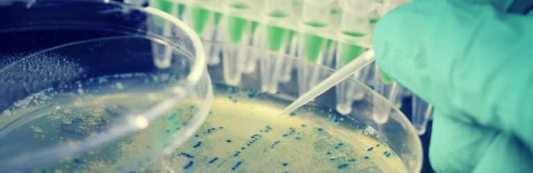 Pré- et probiotiques chez le nourrisson: importance du momentum