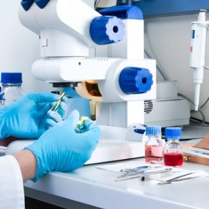 Les polluants alimentaires aggravent les problèmes métaboliques