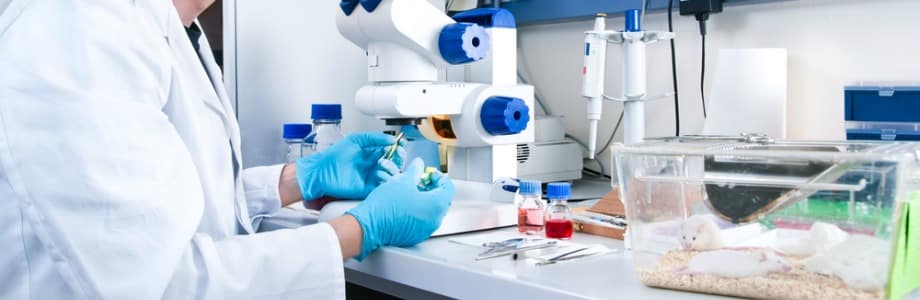 Les polluants alimentaires aggravent les problèmes métaboliques