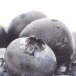 Des composés du raisin et des myrtilles stimulent l’immunité