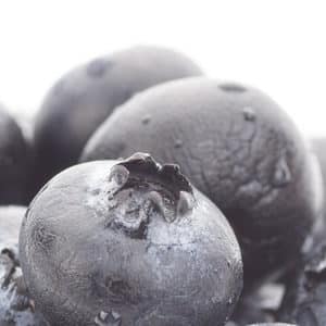 Des composés du raisin et des myrtilles stimulent l’immunité