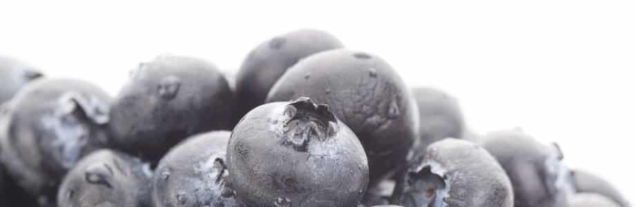 Des composés du raisin et des myrtilles stimulent l’immunité