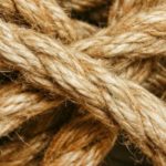Un mécanisme de protection des fibres à l’égard du diabète décrypté