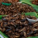Les insectes sont-ils plus sains que la viande?