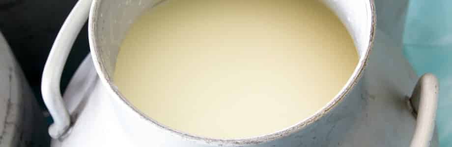 Un nouveau lait cru bientôt sur le marché?
