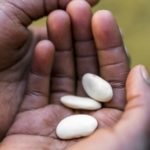 La malnutrition aiguë sévère chez l’enfant: nouvelles directives