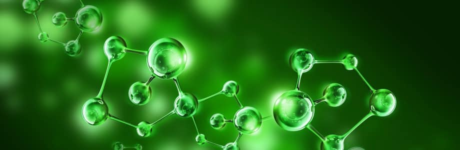 Molecule tegen obesitas uit boombladeren