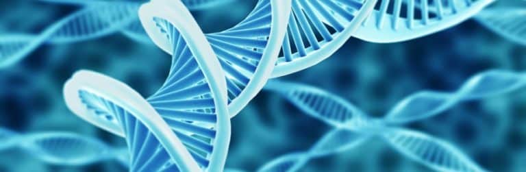 Genetisch verband tussen zwaarlijvigheid en koolhydraatvertering