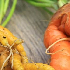 Pour votre santé, 5 fruits et légumes moches par jour!